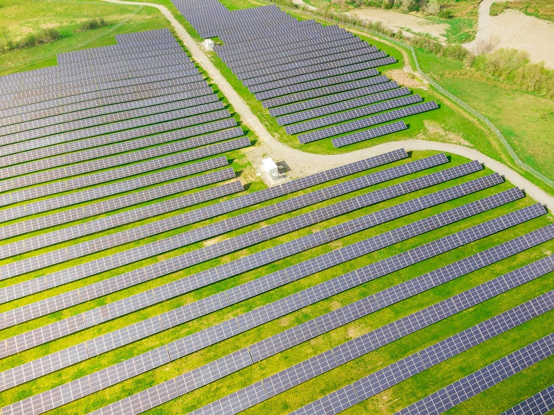 A Comparative Analysis of Natural Energy Supplements for Gut Health - meli