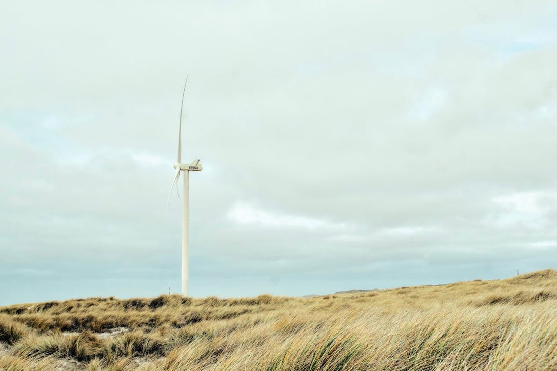 How Natural Energy Supplements Boost Skin Health: An Explainer - meli