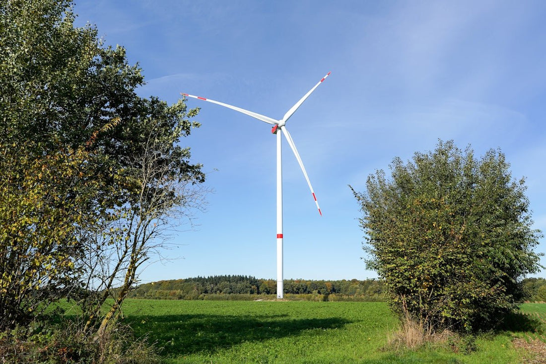 Natural Energy and Bee Complex for Improved Skin and Gut Health - meli