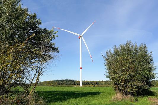 Natural Energy and Bee Complex for Improved Skin and Gut Health - meli